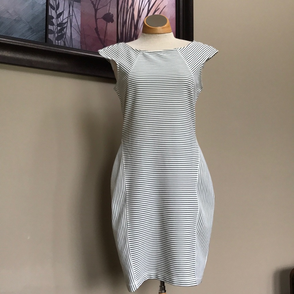 Form Fitted // business dress